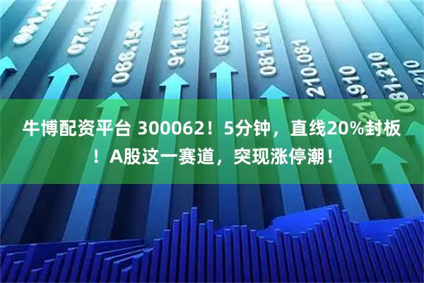 牛博配资平台 300062！5分钟，直线20%封板！A股这一赛道，突现涨停潮！