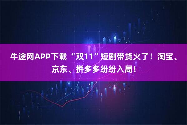 牛途网APP下载 “双11”短剧带货火了！淘宝、京东、拼多多纷纷入局！