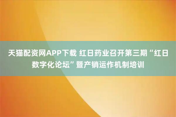 天猫配资网APP下载 红日药业召开第三期“红日数字化论坛”暨产销运作机制培训